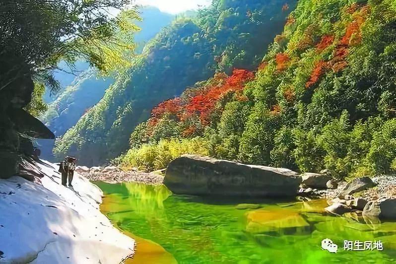 小怪运动会